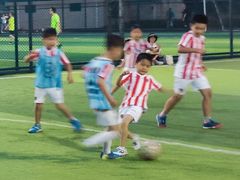 -小赛虎少儿足球培训(南翔校区)
