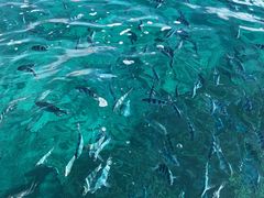 -蓝湾海滩