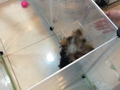 -乐宠宠物店(世纪金源店)