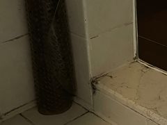 -三亚亚龙湾金棕榈度假酒店