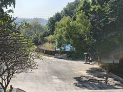 -东莞市大岭山森林公园