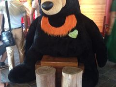 iphone_upload_pic-济州岛泰迪熊博物馆