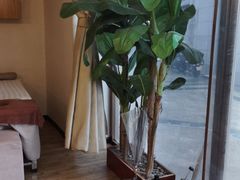 -筋骨堂热敷推拿按摩(枫林绿洲店)