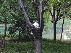 -尚贤河湿地