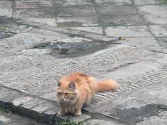 -大学习巷清真寺