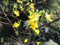 -华南国家植物园-售票处