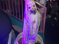-巨鹏飞梦幻海岸