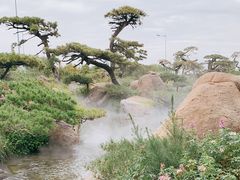 -罗红摄影艺术馆