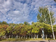 -伊犁河景区