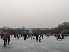 -皇家御河游(紫御湾码头)