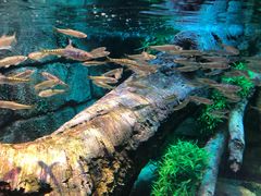 -沈阳海洋探索中心