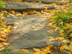 -济南国际园博园