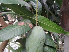 -南通洲际绿博园