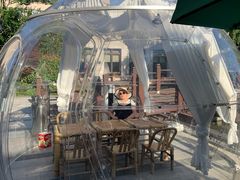 -上海崇明金茂凯悦酒店