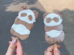-成都大熊猫繁育研究基地