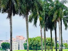 -平安（深圳）金融教育培训中心