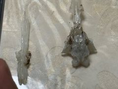 -土砂锅生态山庄·非遗砂锅雅鱼