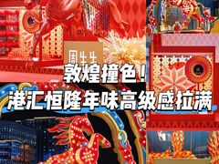 -港汇恒隆广场