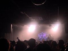-坚果NUTS