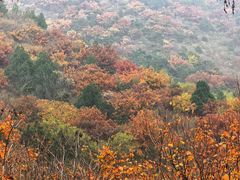 -北京十三陵国家森林公园蟒山景区