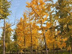 -汉长安城未央宫国家考古遗址公园