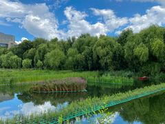 -长春市南湖公园