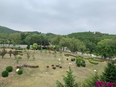 -大连铭湖国际观光牧场
