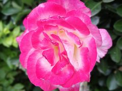 -金豆角砂锅焖面(安贞店)