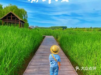 北京宝藏拍照地| 是菊次郎的夏天呀
