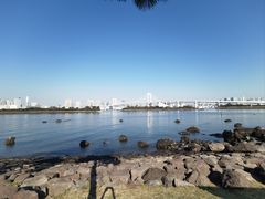 -台场海滨公园船码头