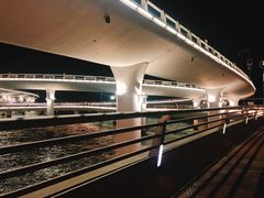 -演武大桥观景平台