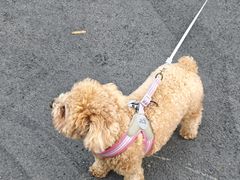 -深圳湾万象城(南山店)