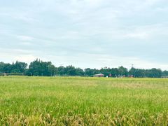 -中国天府农业博览园