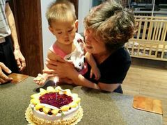 -喜莲娜动物奶油生日蛋糕(黄村店)