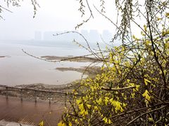 -长白岛森林公园