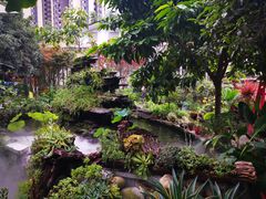 -凤来栖·净庭院·火锅(欧尚店)