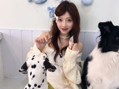 -汪说·狗咖·拼豆·宠物周边DIY(旺城大厦店)