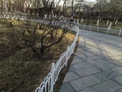 -牡丹园