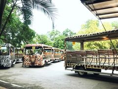 -清迈夜间动物园