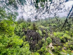 -梭布垭石林景区