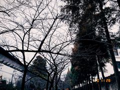 -南京城墙景区
