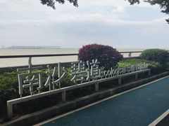-大湾区中央湿地公园