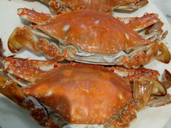 螃蟹-宾朋海鲜特色美食餐厅·纯手工鲅鱼水饺(兴海路店)