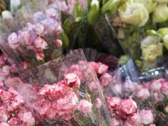 -循礼门鲜花花市(武汉循礼门店)