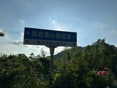 -蘇河湾·新鲁菜·泰山宴(泰山店)