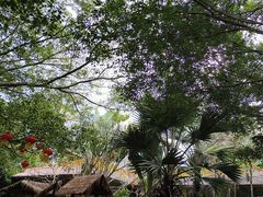 -海南热带野生动植物园