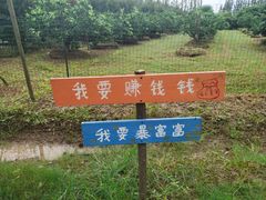 -前小桔亲子创意农场·草莓采摘·露营烧烤