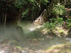 -五女峰国家森林公园