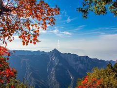 -少华山国家森林公园