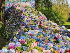 -上海共青森林公园